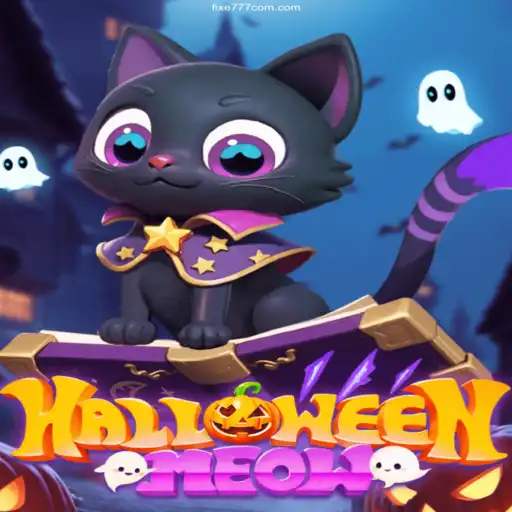 HalloweenMeow: The Thrilling Adventure of the Spookiest Night
